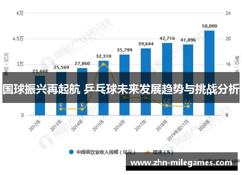 国球振兴再起航 乒乓球未来发展趋势与挑战分析