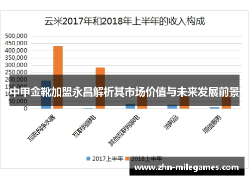 中甲金靴加盟永昌解析其市场价值与未来发展前景