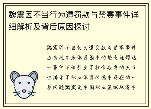魏震因不当行为遭罚款与禁赛事件详细解析及背后原因探讨