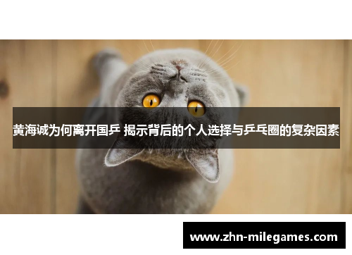 黄海诚为何离开国乒 揭示背后的个人选择与乒乓圈的复杂因素