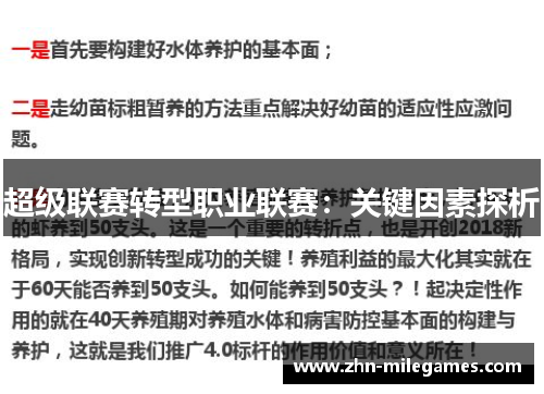 超级联赛转型职业联赛：关键因素探析