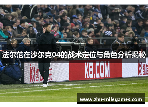 法尔范在沙尔克04的战术定位与角色分析揭秘